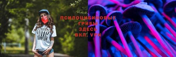 мдпв Богородицк