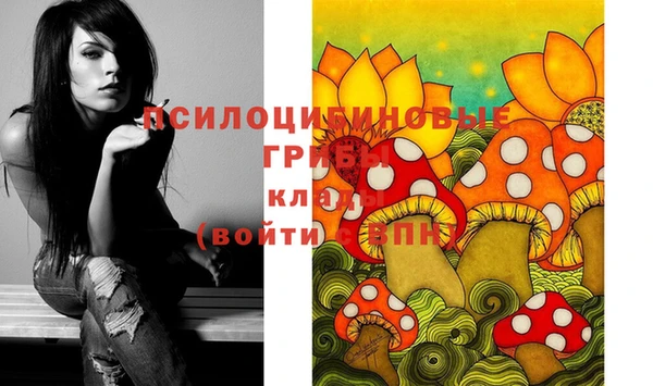 синтетический гашиш Богородск