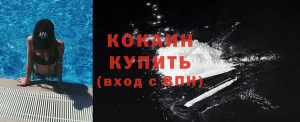 мдпв Богородицк